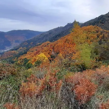 Hver As Faias * Manteigas