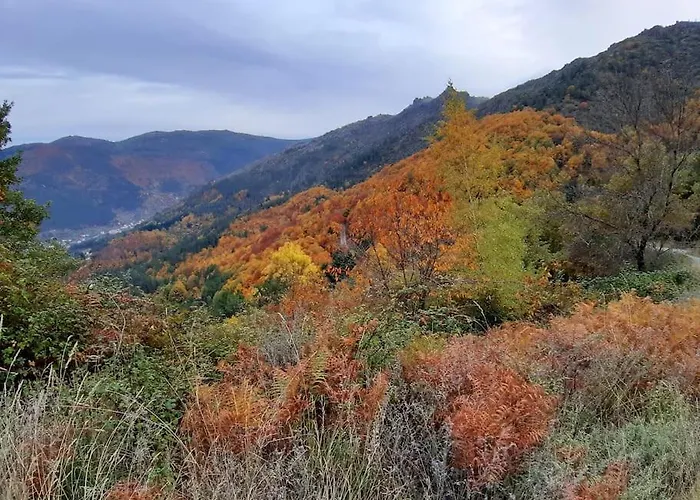 Hver As Faias * מנטגאס